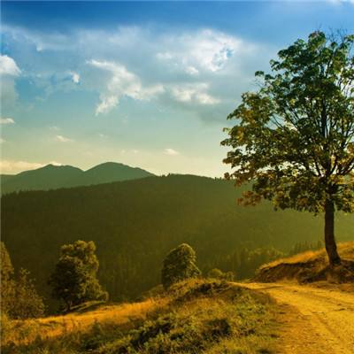 环亚平台登录手机下载截图1