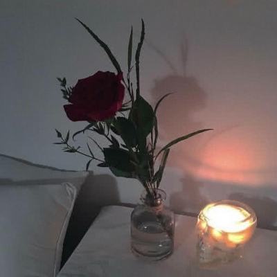 吃饭睡觉打泡泡