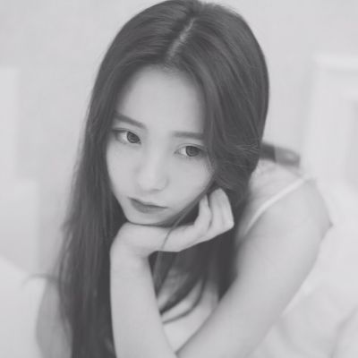开拓神秘岛汉化破解版