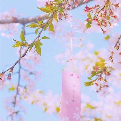 舍得酒业回暖:库存开始回归良性水平 大众品取得高增长