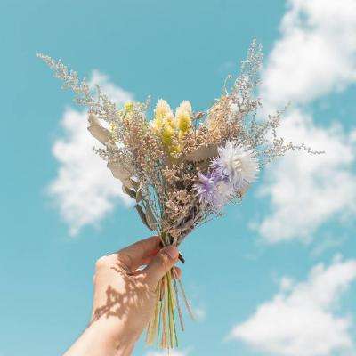 稳定币初创公司 Payy 完成 600 万美元种子轮融资