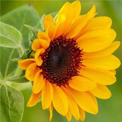 新华社：中美经贸北京磋商传递的信号