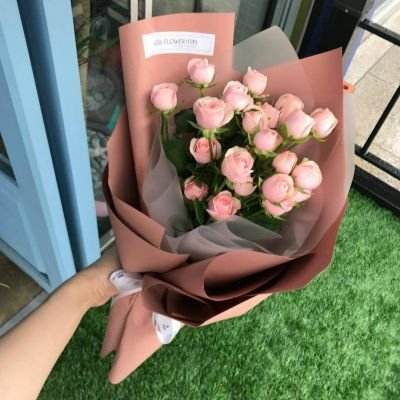 833贵宾会体育娱乐APP/手机APP下载