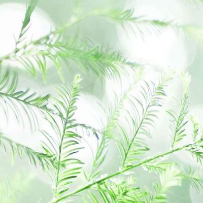奇胜体育娱乐下载APP/手机APP下载