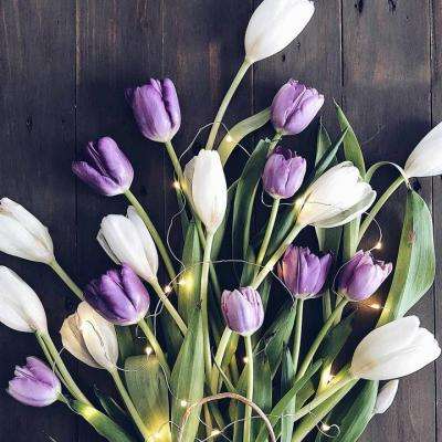 范冰冰工作室回应“阴阳合同”事件:从未签署