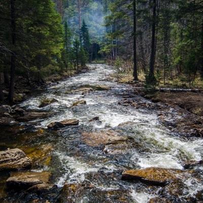 赔率看衰恒大取胜 澳媒仍恭维:亚洲巨人来了