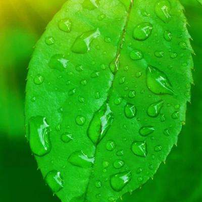 电竞牛LOL牛体育娱乐下载app/手机app下载截图