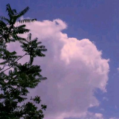 托卡世界免费版60个世界