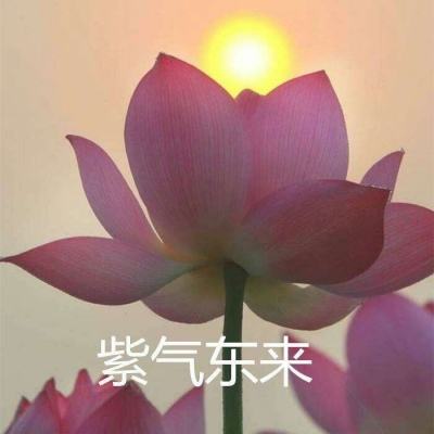 窗口期只有一年?“龙虾”竞速背后的AI暗战:京东另辟“产业端”解法,能后来居上吗?