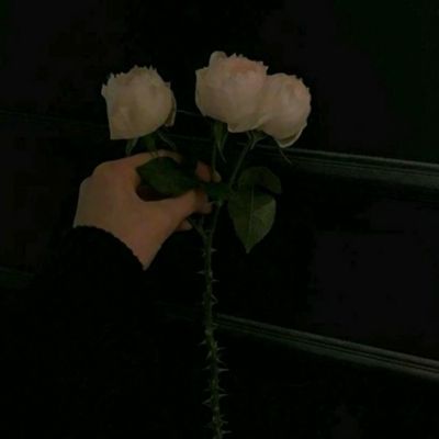众彩网cc彩票APP官网版下载