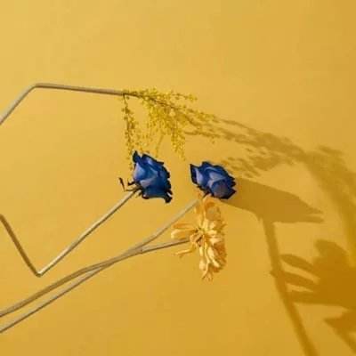 违停被贴不干胶 车主称方式太粗暴