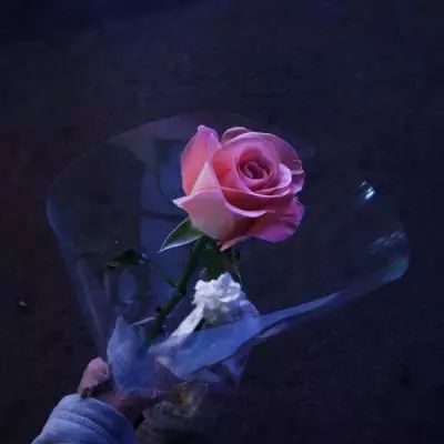 体育app官方下载官方版