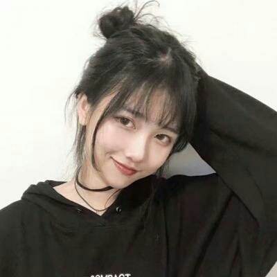 乐鱼体育电脑版本登录截图